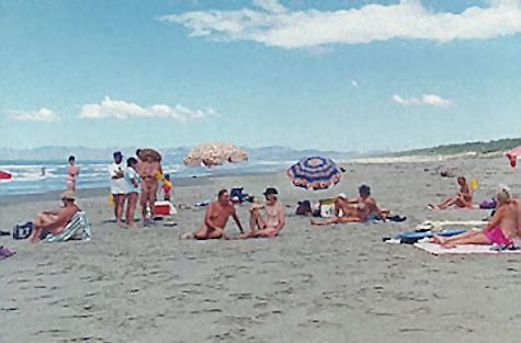 New Zealand naturist beach — Beach Picnic