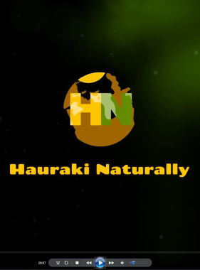About Hauraki Naturally